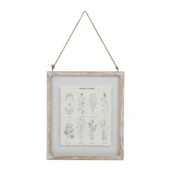 Comptoir De Famille Cadre Deco Plante Medicinal Blanchi 33x38cm