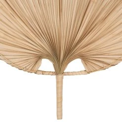 SEMA DESIGN Deco Murale Feuille De Palmier Flora Gipsy 8 SEMA DESIGN Deco Murale Feuille De Palmier Flora Gipsy -Kaemingk Magasin 74902 DET02 WEB