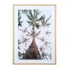SEMA DESIGN Cadre Deco Encadré Palmier Pastel 52x72cm 2 SEMA DESIGN Cadre Deco Encadré Palmier Pastel 52x72cm -Kaemingk Magasin 75898 DEB WEB